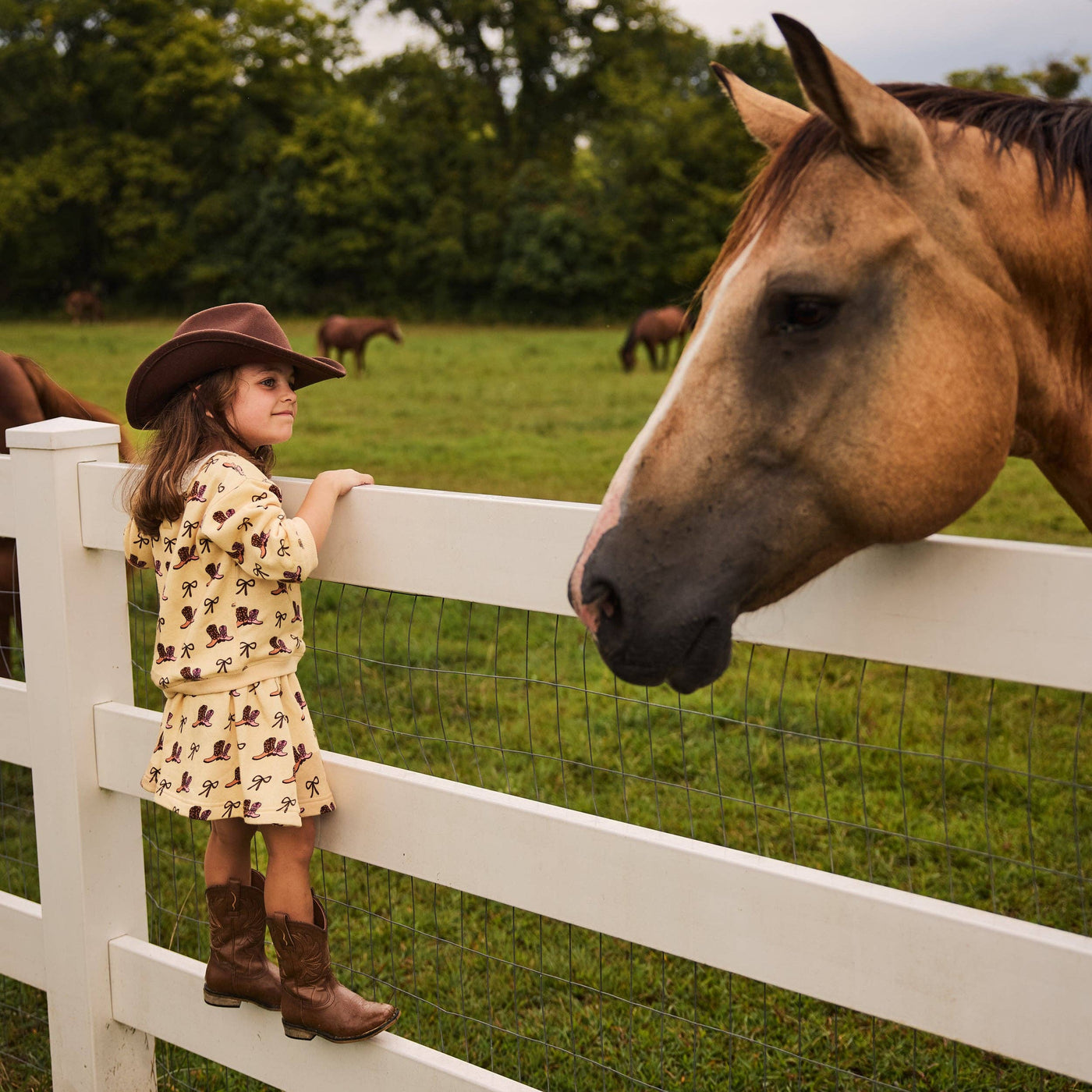 Cowboy Boots Sweater