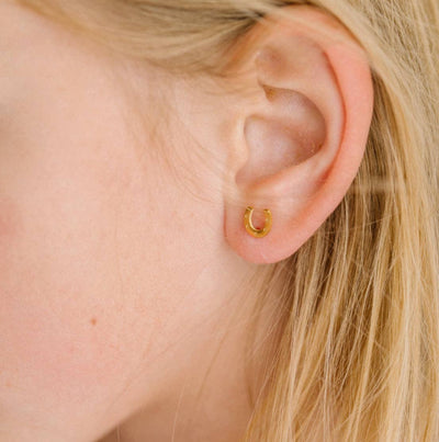 Lucky You Horseshoe Earrings