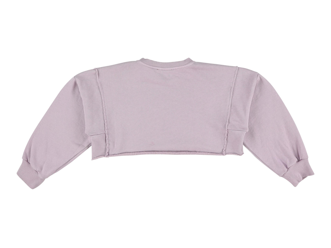 Surf Cropped Sweater in Lavender