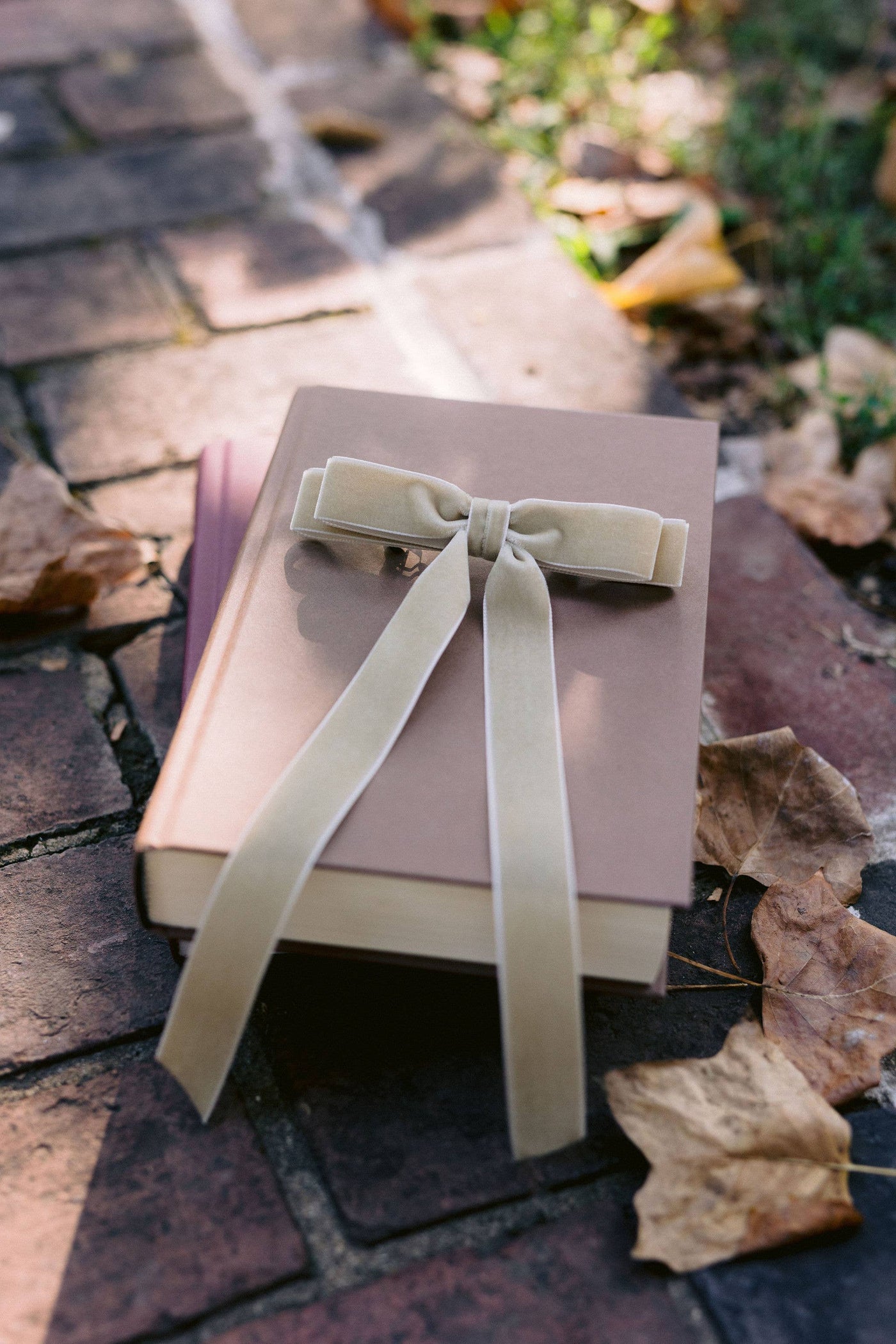 Long Velvet Hair Barrette | Alice Bow - Long Length