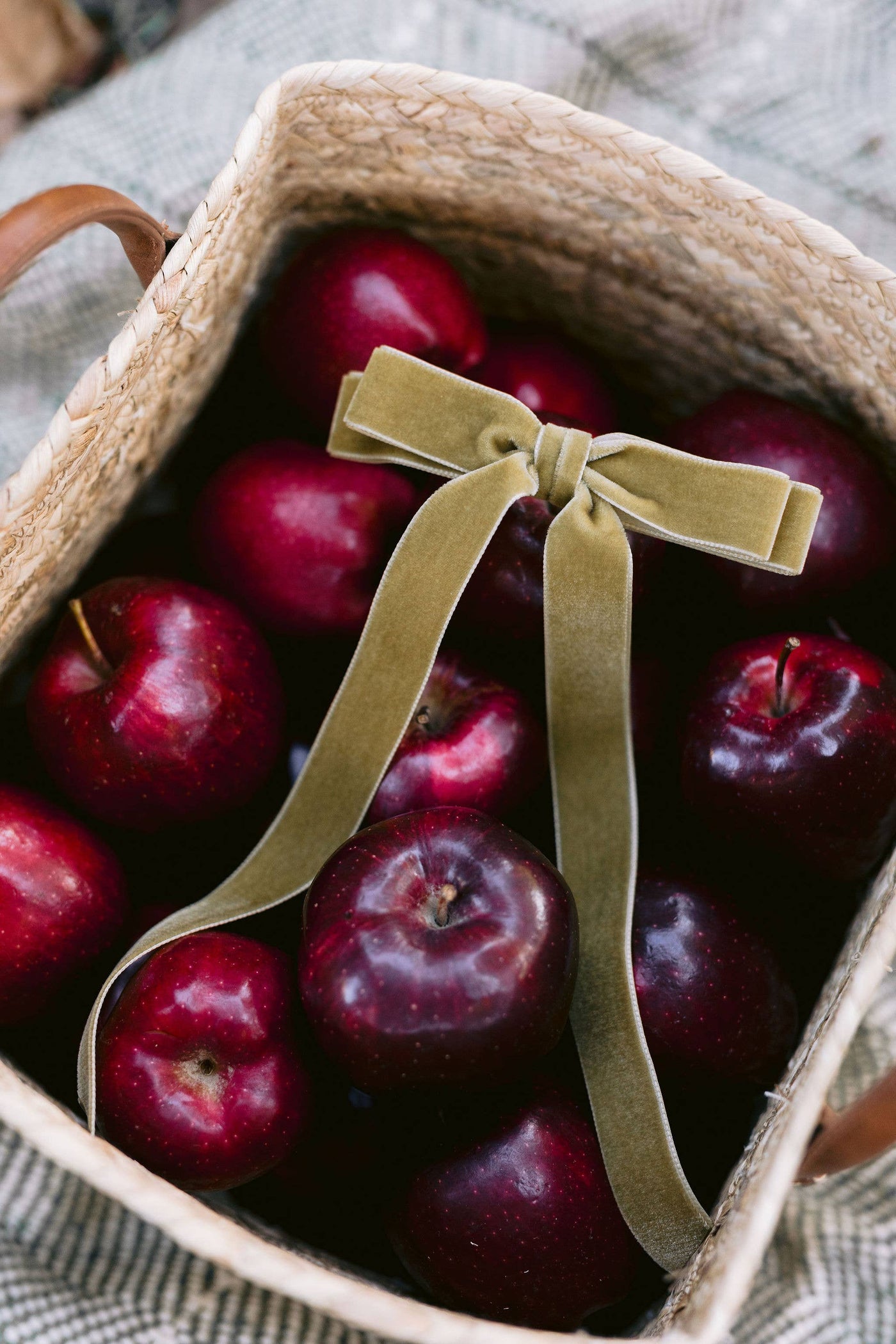 Long Velvet Hair Barrette | Alice Bow - Long Length