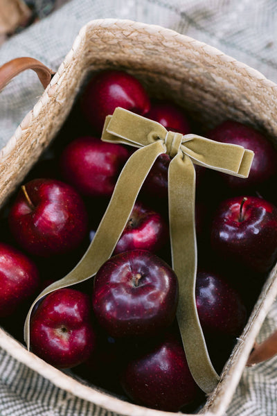 Long Velvet Hair Barrette | Alice Bow - Long Length