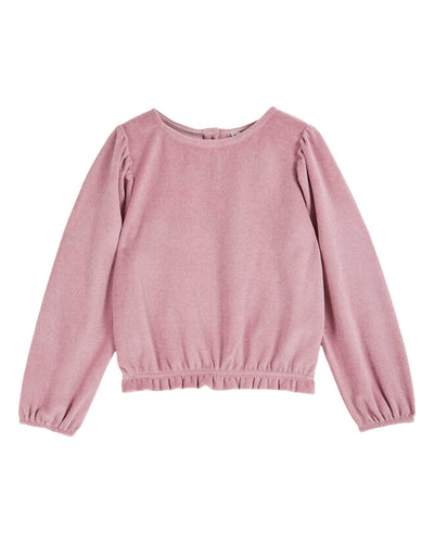 Sweat Eponge | Lilas