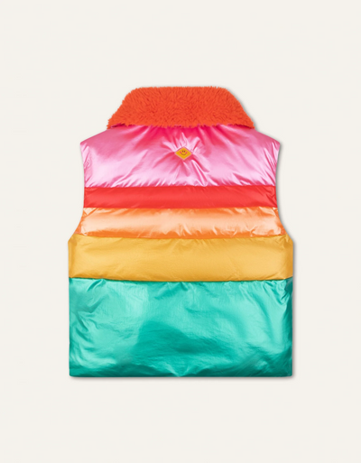 Rainbow Puffer Vest