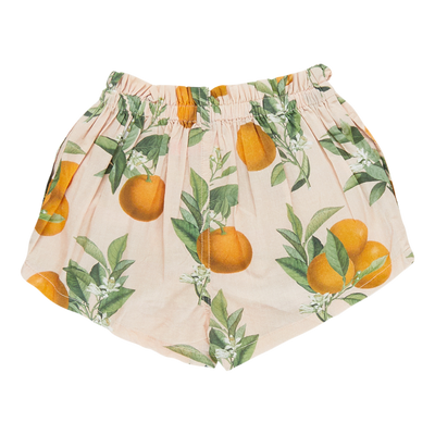 Theodore Short | Pink Botanical Oranges