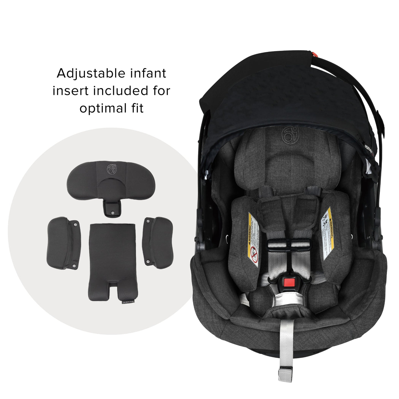 Stroll & Ride Travel System