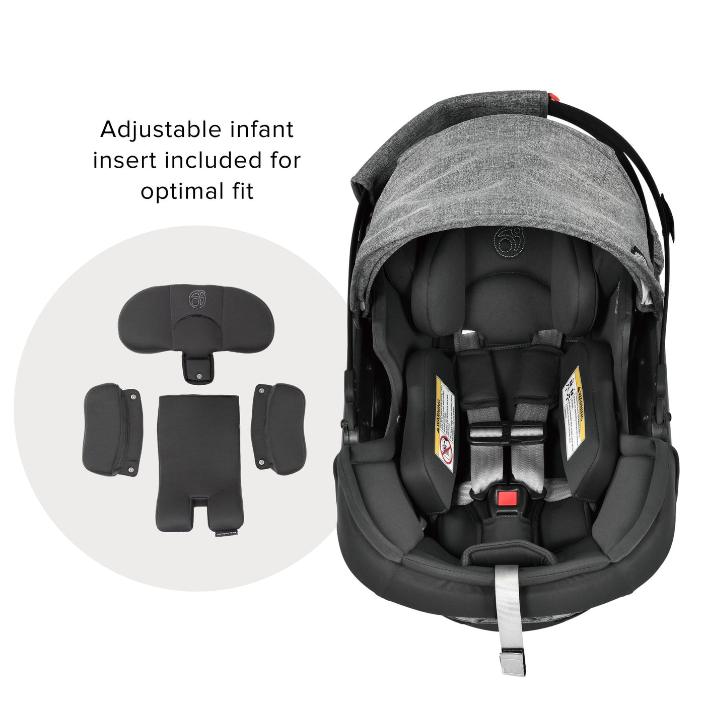 Stroll, Lounge, & Ride Travel System