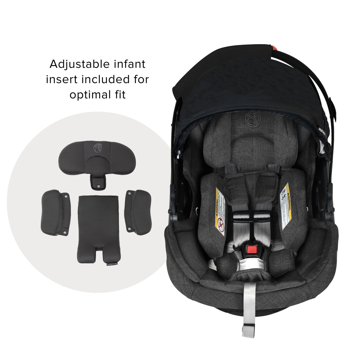 Stroll, Lounge, & Ride Travel System