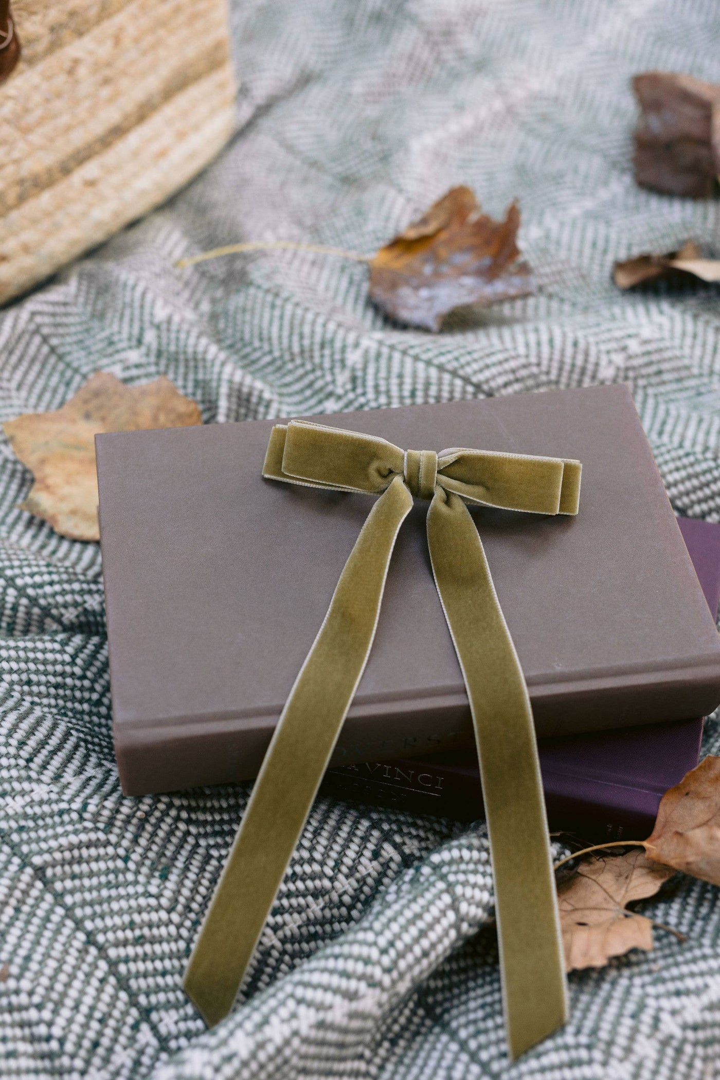 Long Velvet Hair Barrette | Alice Bow - Long Length