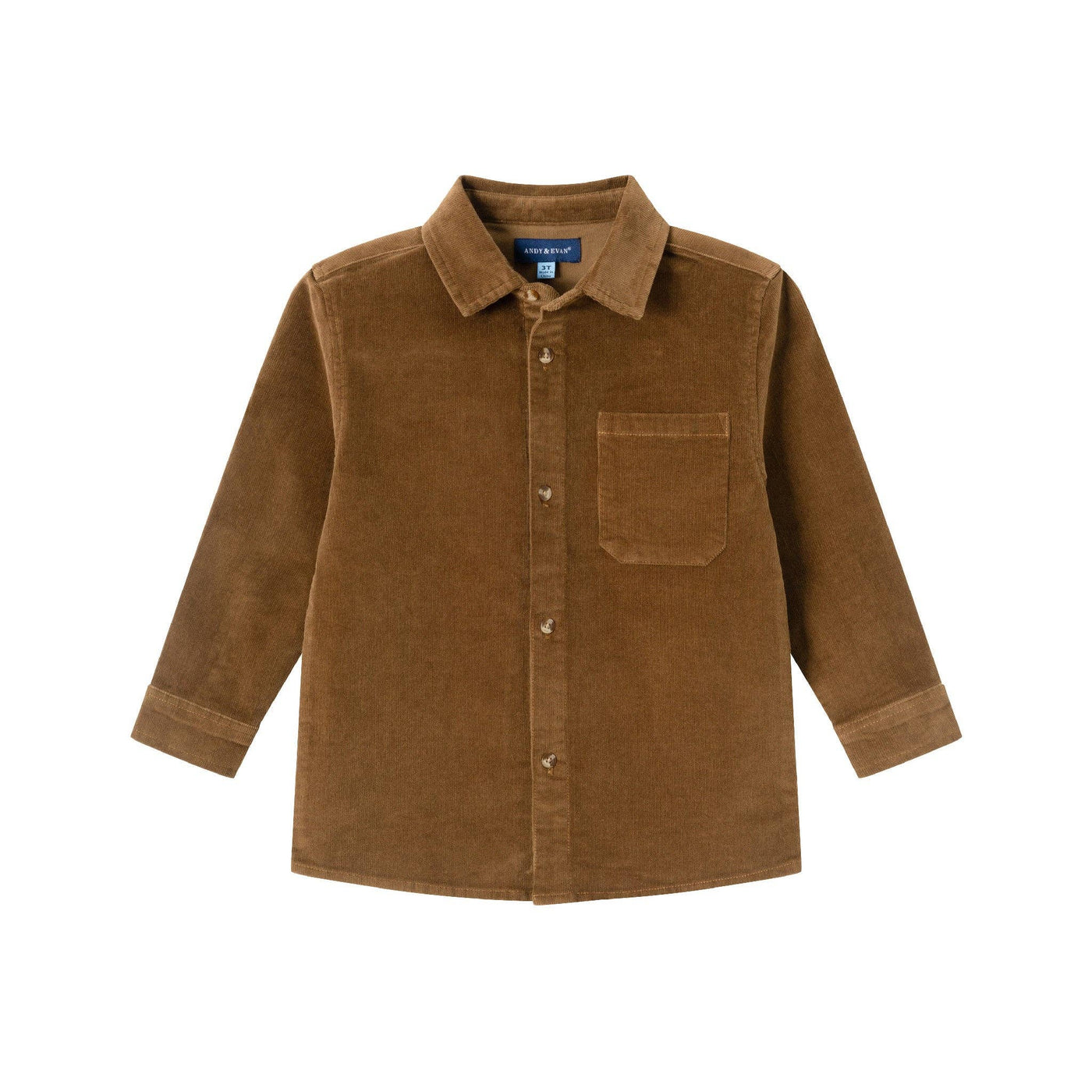 Washed Cord Buttondown | Brown