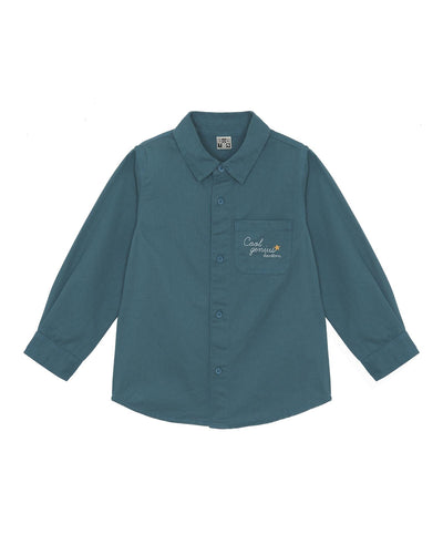 Brushed Cotton Twill Shirt in River Green