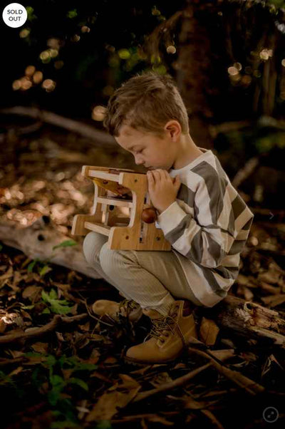 Wooden Microscope