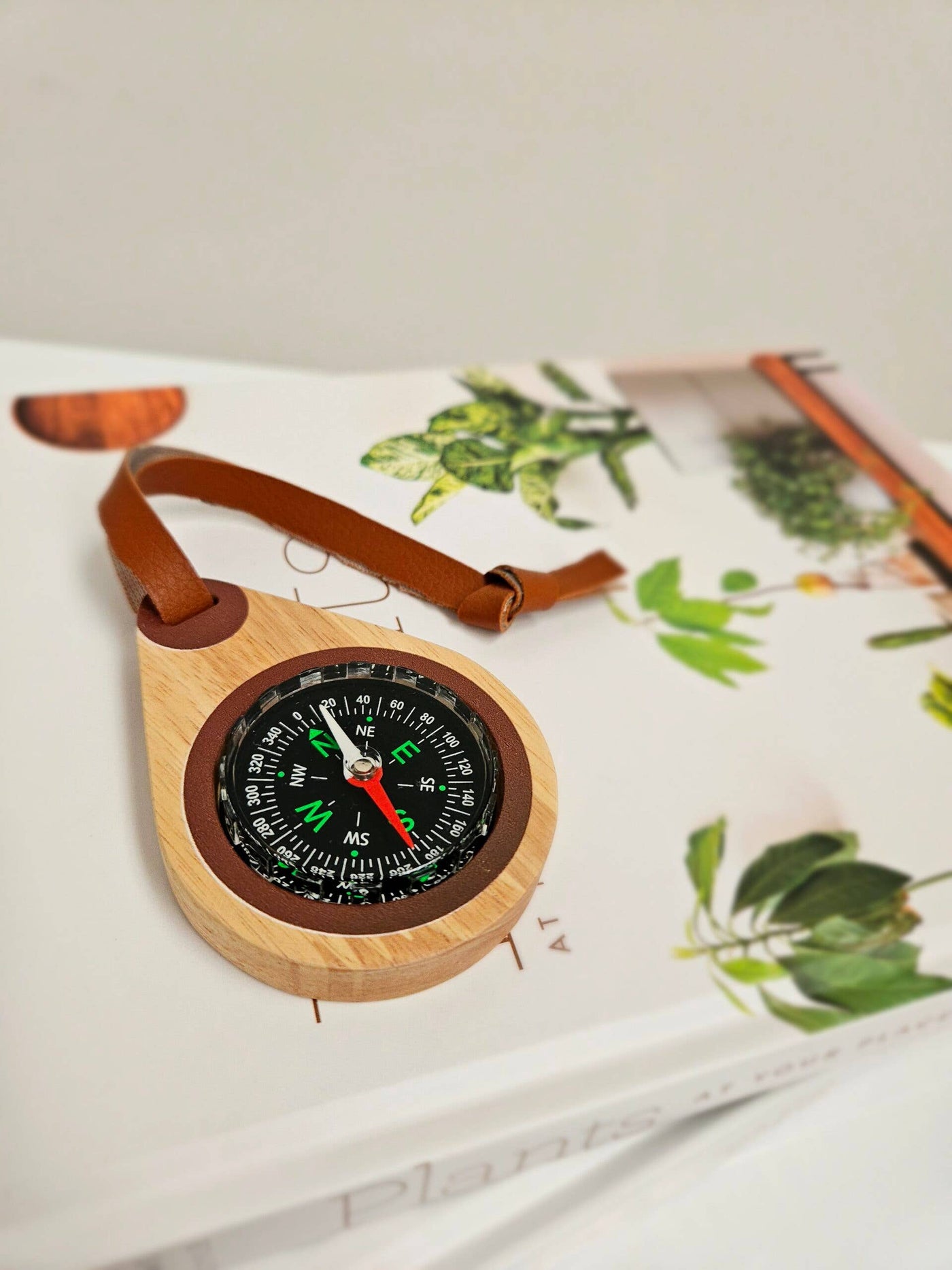 Wooden compass
