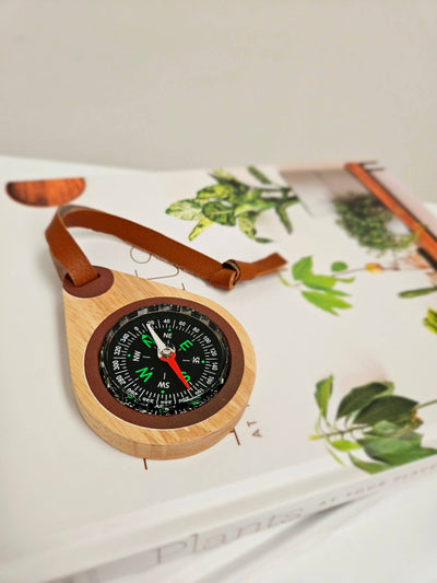 Wooden compass